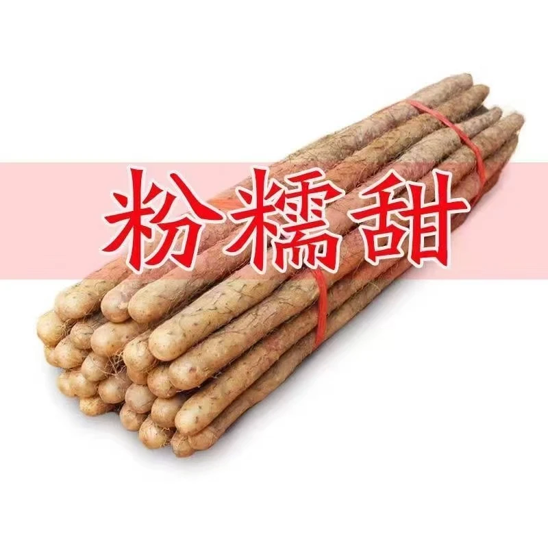 铁棍山药软糯香甜营养高产地直发5斤装原产地垆土山30-50公分