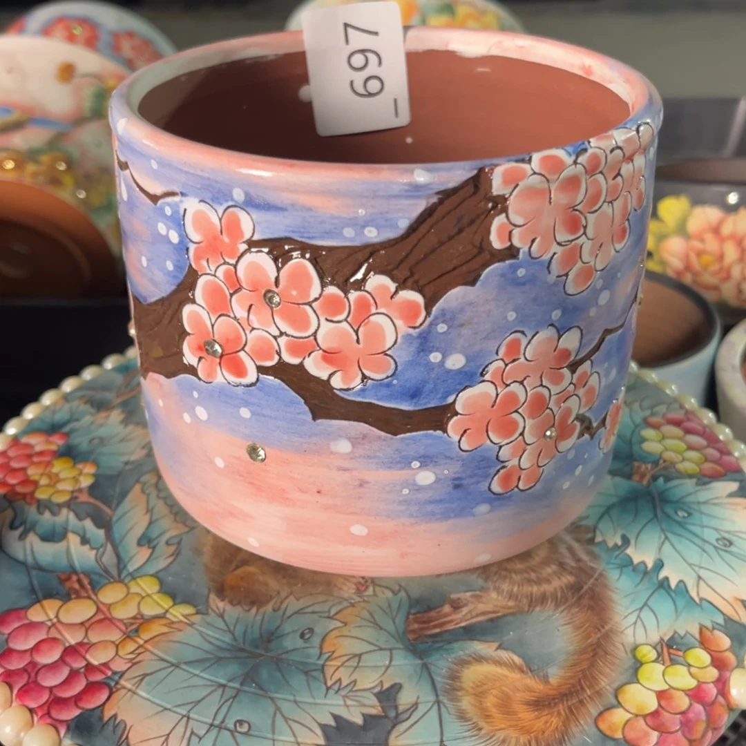 点***哥697多肉花盆   1个