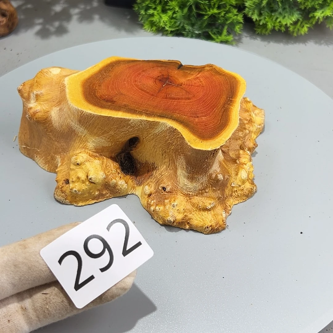 梨木静*火琉璃……火琉璃