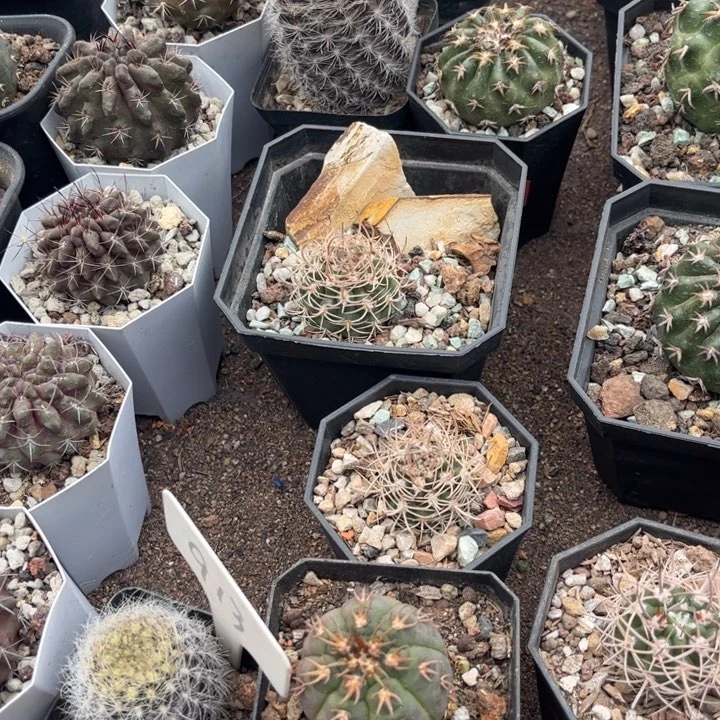 用****9运费补价偏远