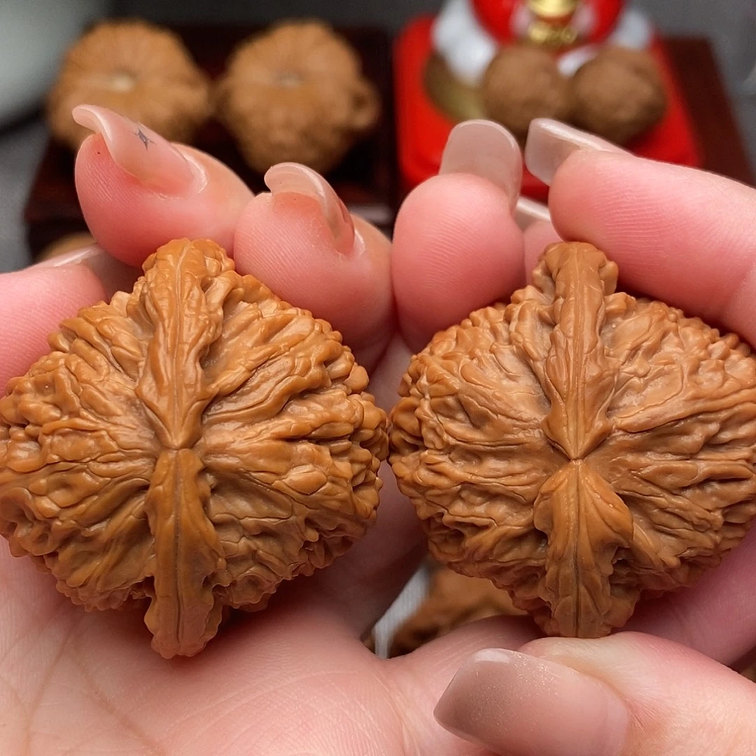 文玩核桃把件43精品毕业白狮子