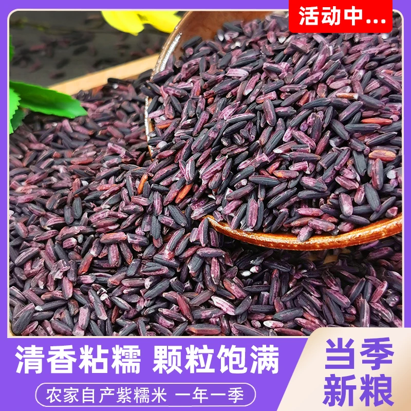 紫米新米500g五谷杂粮软糯粘香血糯米紫糯米煮粥包粽子做紫米露