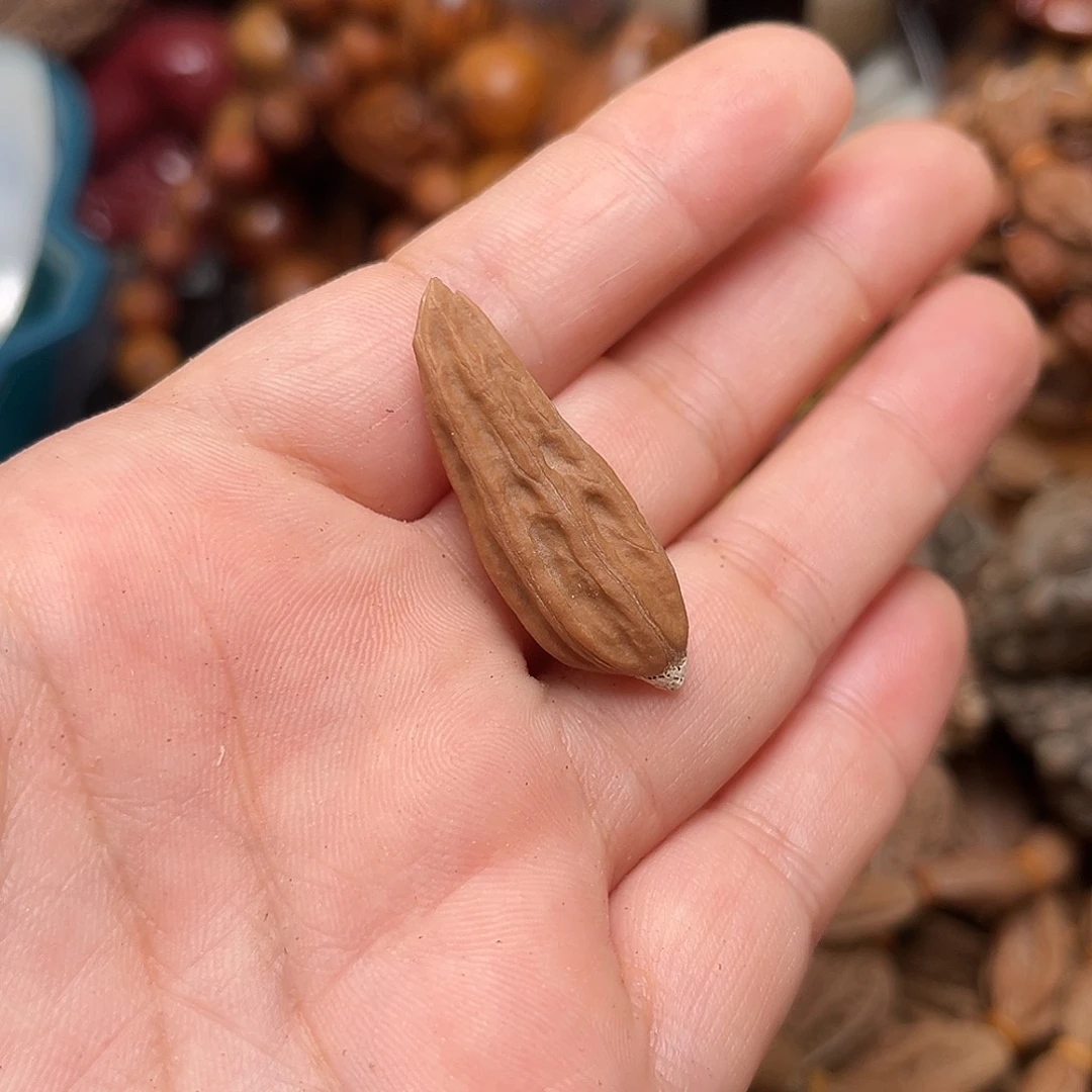 吊坠文玩核桃核桃170