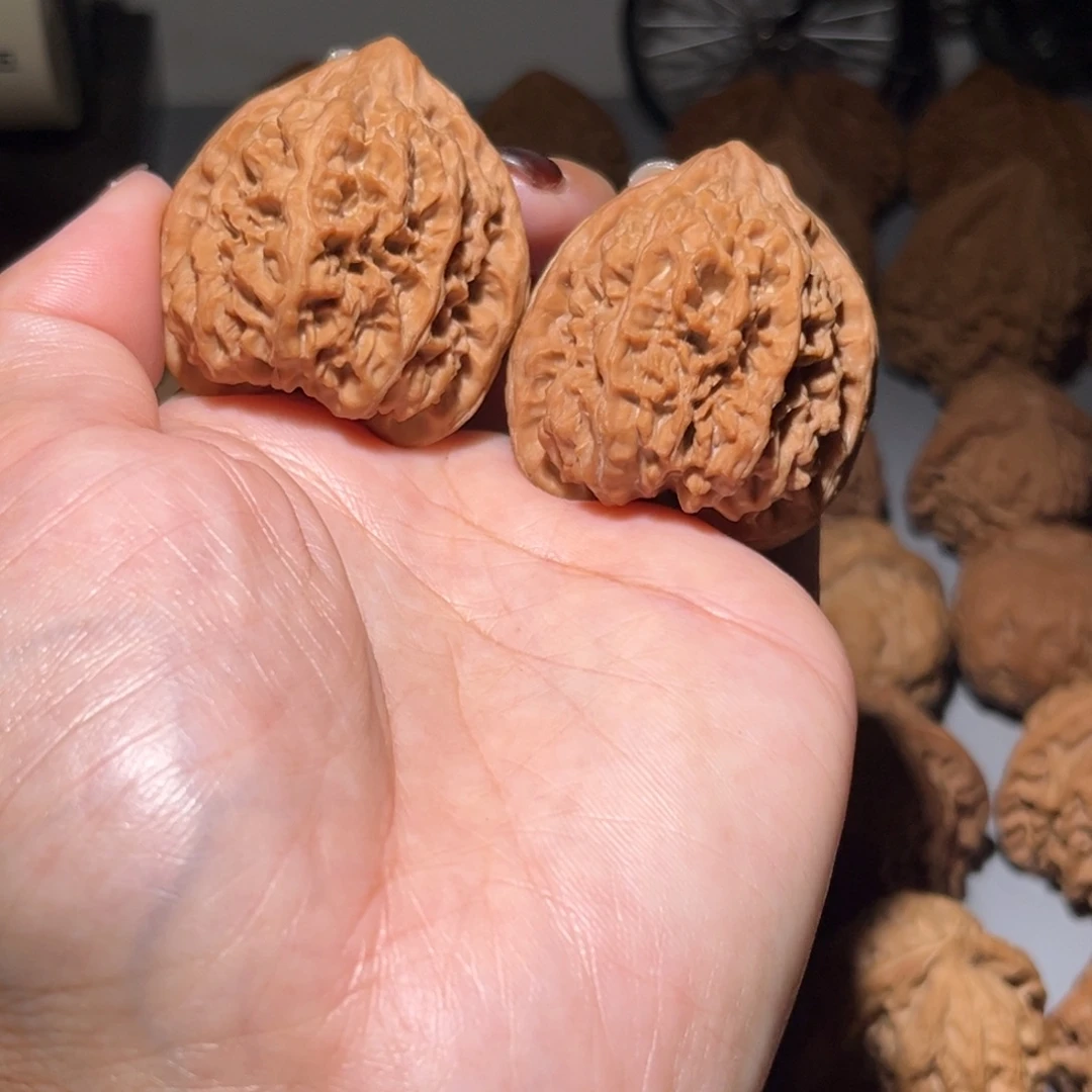 木质类野牛40全品