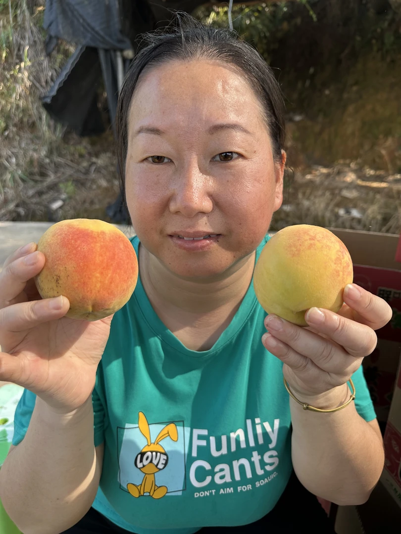 【煎饺妹专属】湖南麻阳高山黄桃新鲜水果果园直发包邮