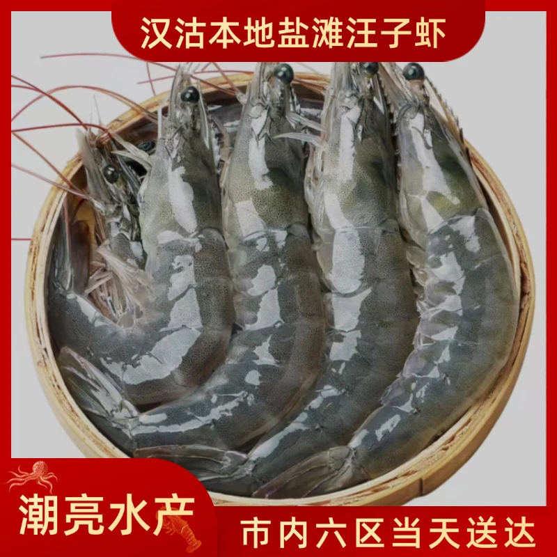 汉沽盐田汪子虾【保鲜不保活】5-10斤，一斤19-20条左右带海鲜酱