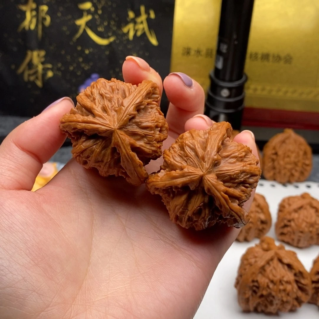 李*锐白狮子1111111