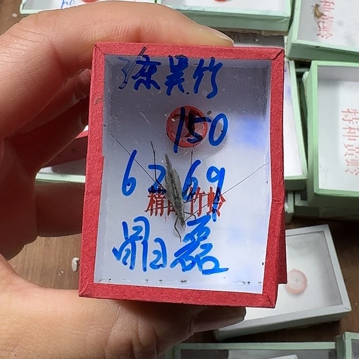晶***磊蟋蟀2222222222222222