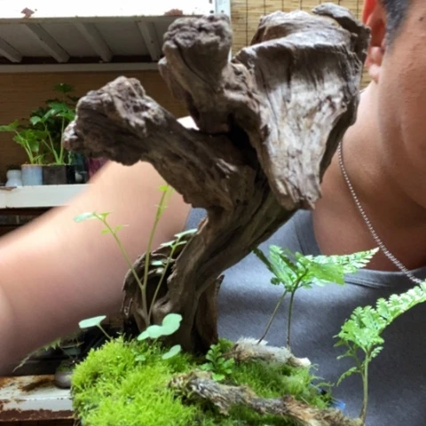 红陶爱***人一物一拍所见即所得212