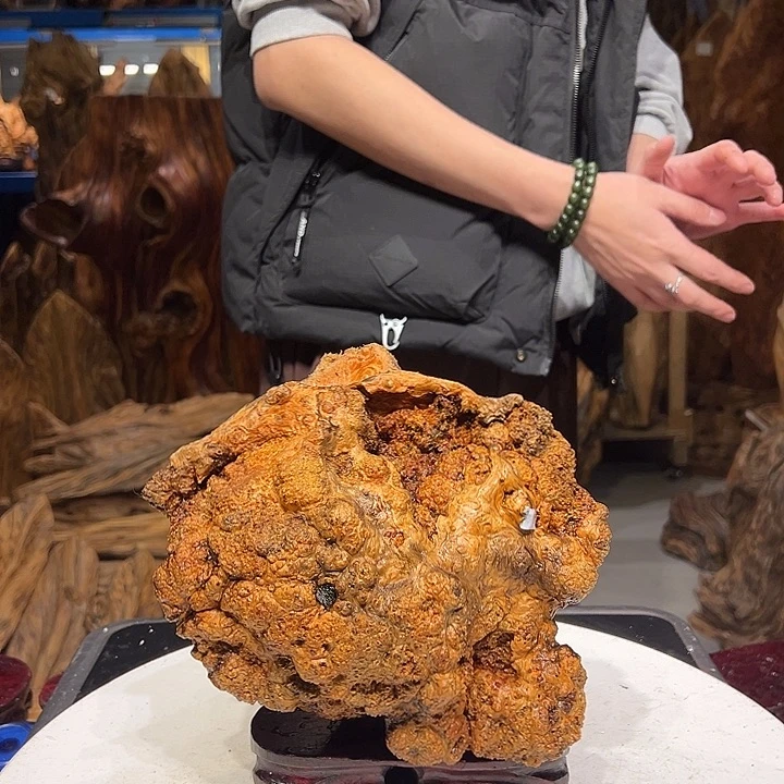 松木（琥珀木）强*