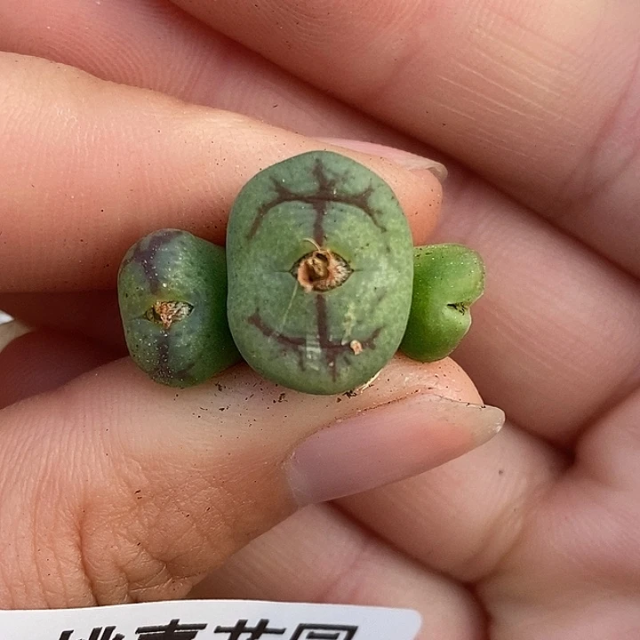 1219-30-秒。