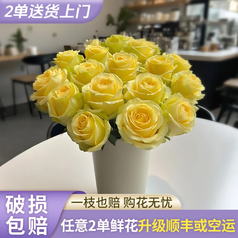 【源头优选】单头-浪漫沙滩玫瑰花云南直发鲜花家居水养插花鲜切花