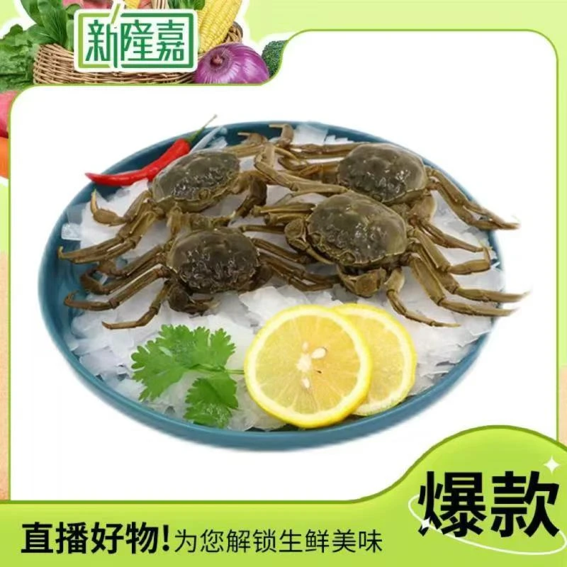 鲜活大闸蟹 公/母/大闸蟹