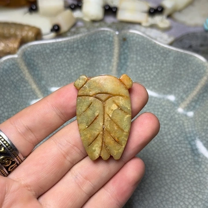 直播放漏专属链接14