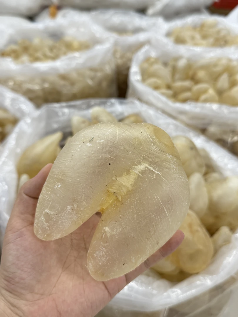 鸡泡胶   深海干货正品鱼胶孕产术后高品质花胶1-500克