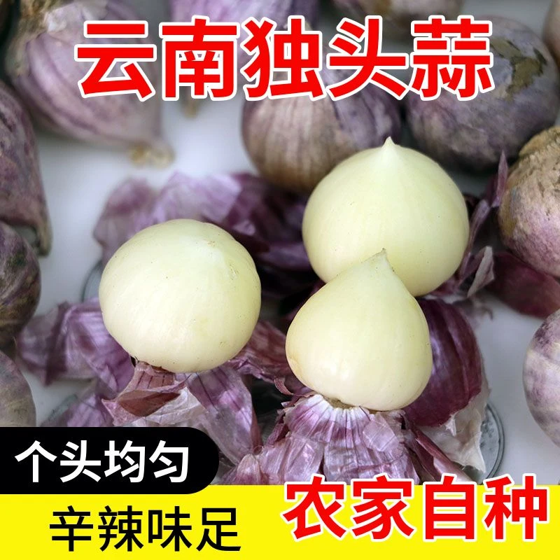 【超低价】云南2025大理紫皮独头蒜鲜蒜湿农家0.5/1/2/3/5斤包邮