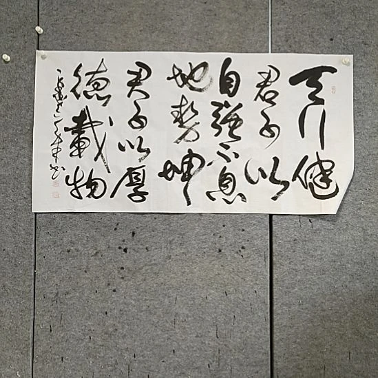 书法宋秉民。四尺整张。天行健