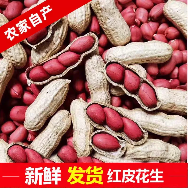 2025红衣花生新鲜无壳红皮花生仁贵州农家花生