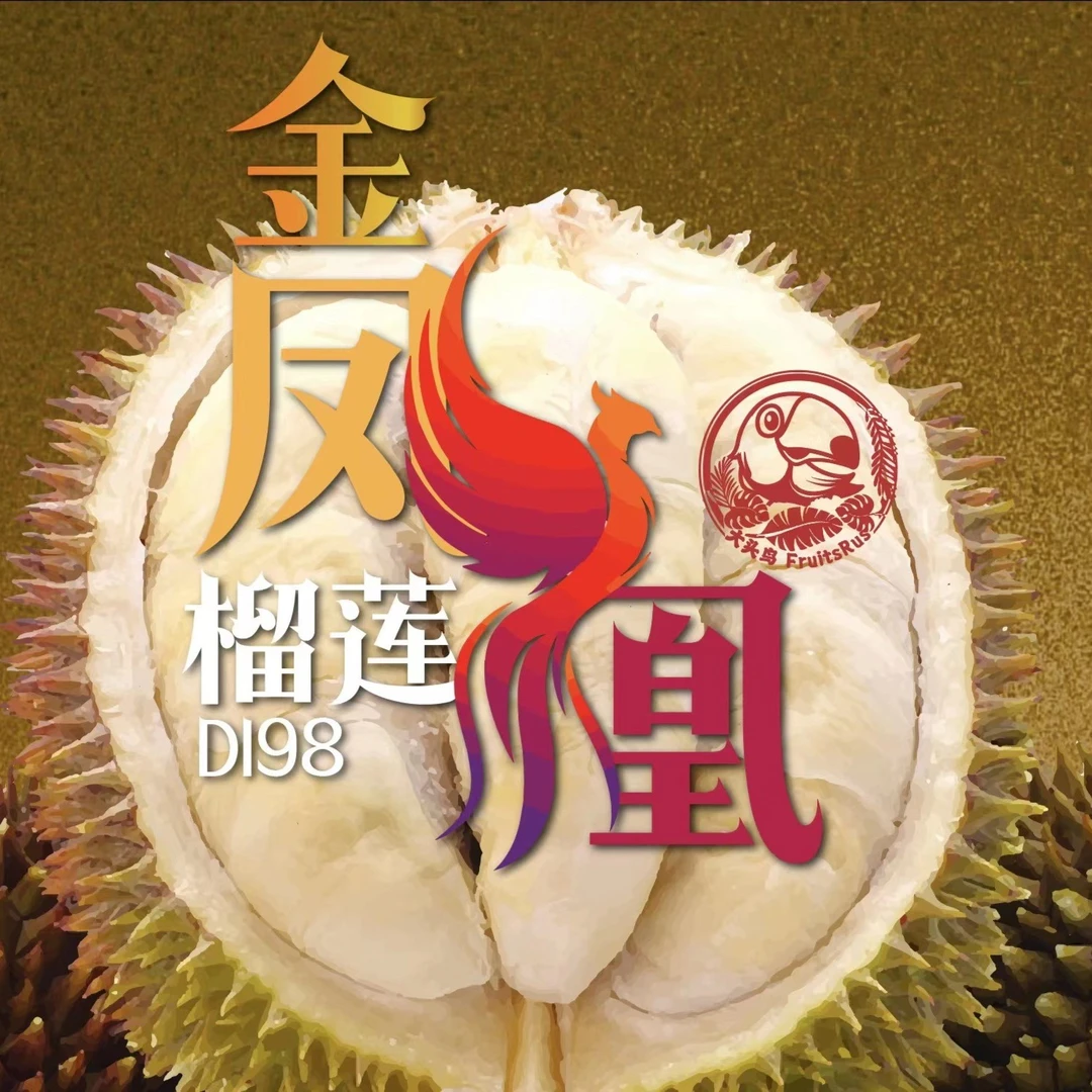 鲜果D198金凤榴莲马来西亚当季新鲜树熟整粒榴莲顺丰包邮