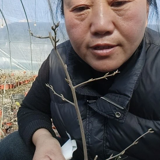 中***矩无花朵15688688858689