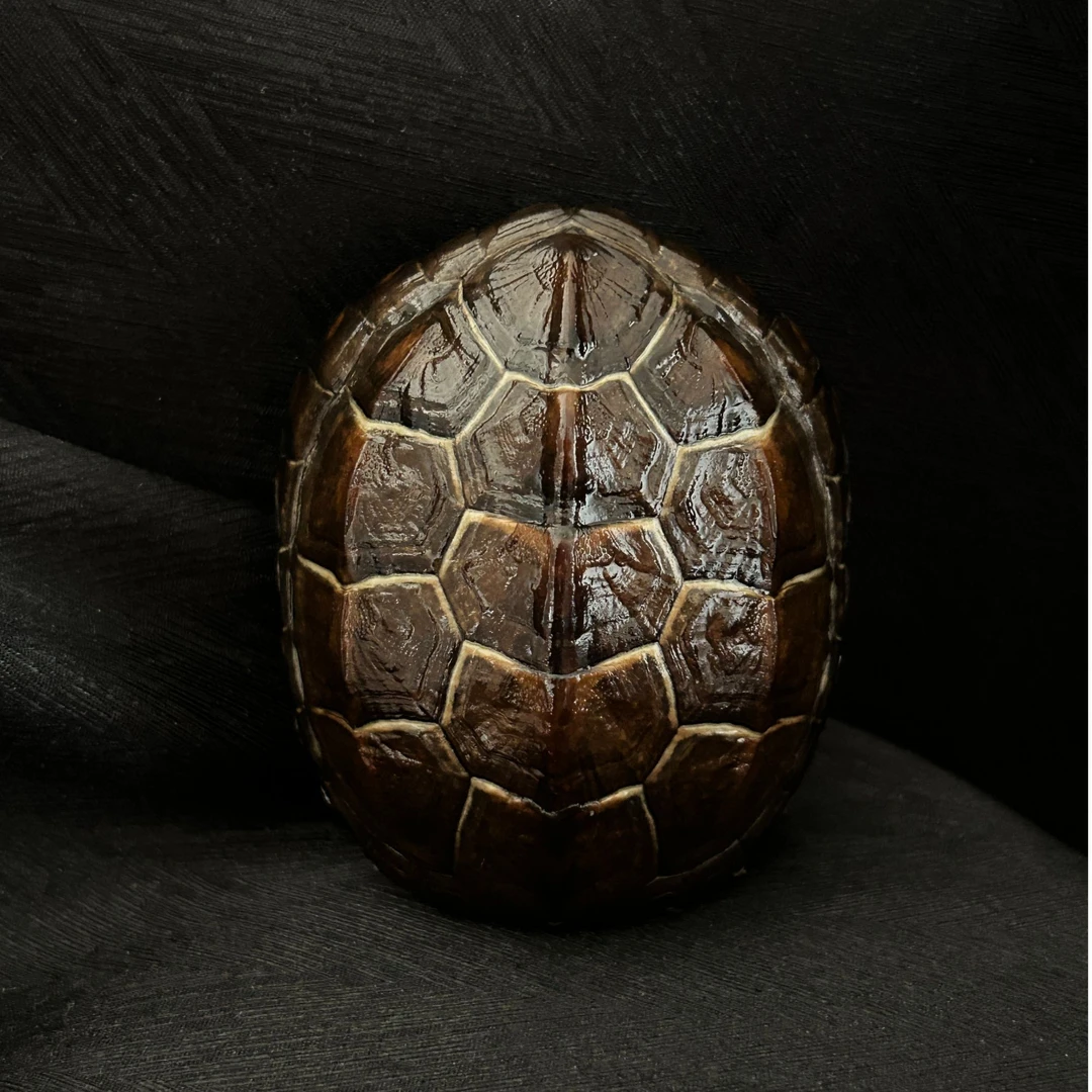 【一物一拍】直播间专用  精品文玩龟甲手把件精品摆件