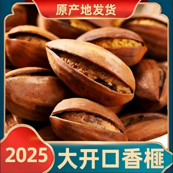 【大开口巨好剥】2025新货古树香榧子诸暨枫桥嵊州特产坚果袋装净重