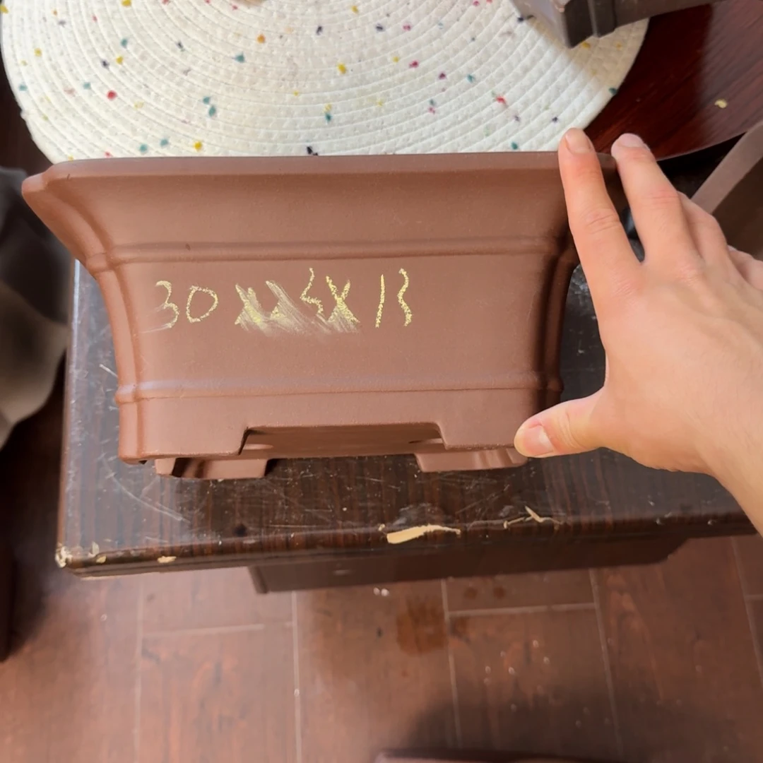 紫砂花盆我的心好累