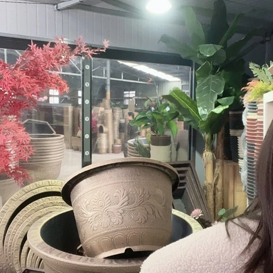 复合人**戏盆景886685698