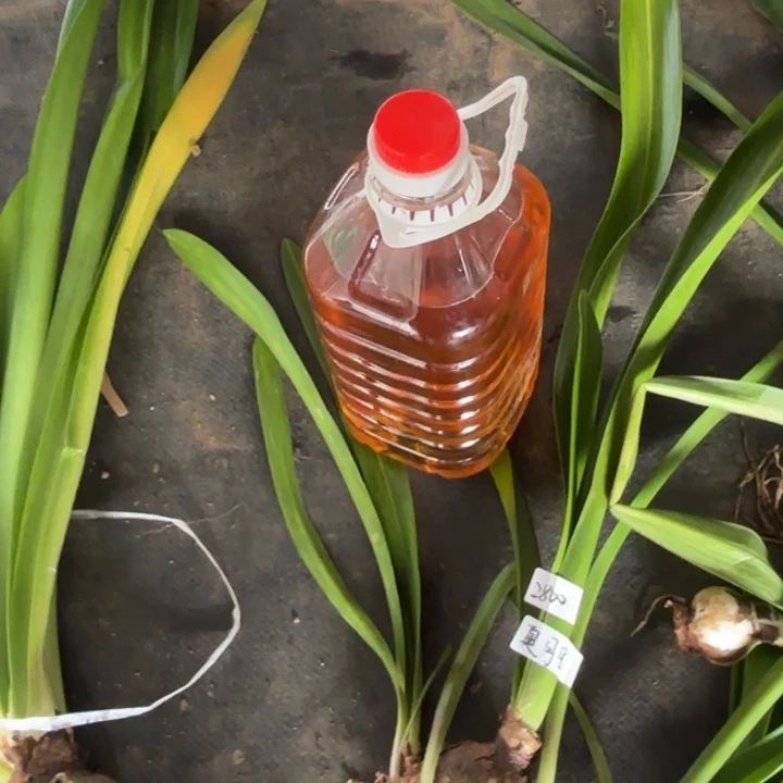 无花朵恩怡自榨纯花生油5斤