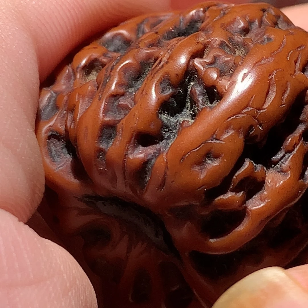 满天星的文玩核桃的时候我就