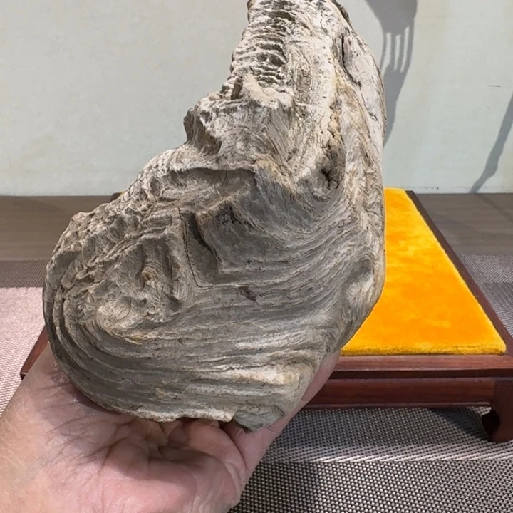 鸡翅木苹*香崖柏啊阿啊