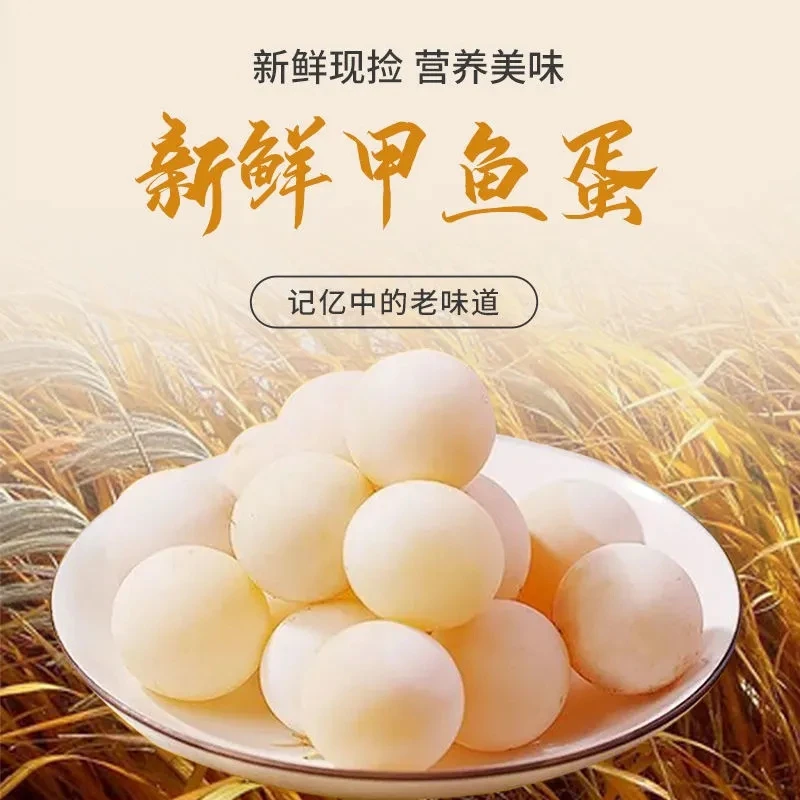 南丰老甲鱼蛋120枚装京东包邮新鲜土蛋辅食