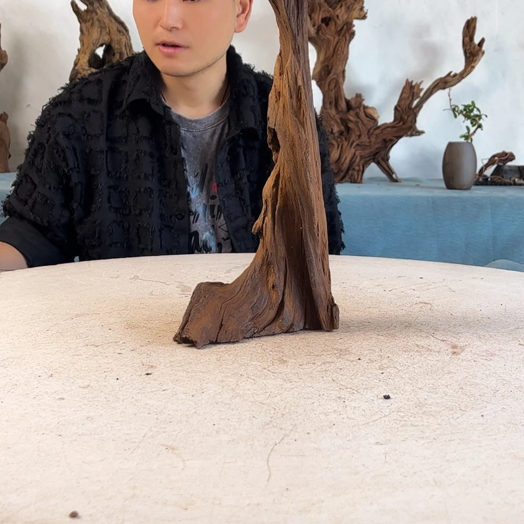 周末福利沉木造景