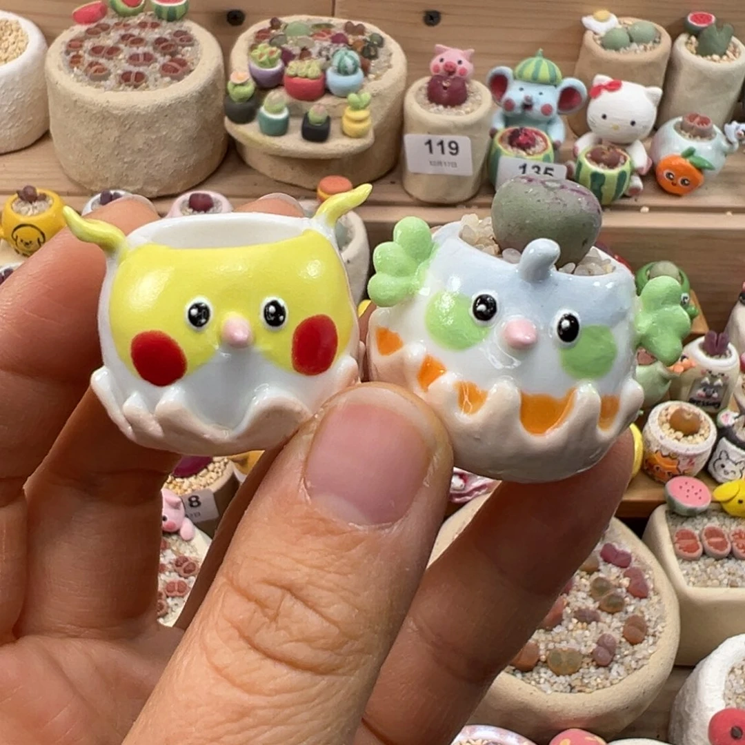 多肉植物162号一起