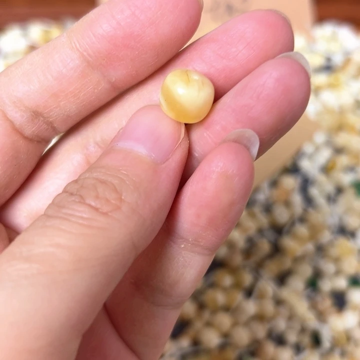 蜜蜡未镶嵌裸石10.3mm一个