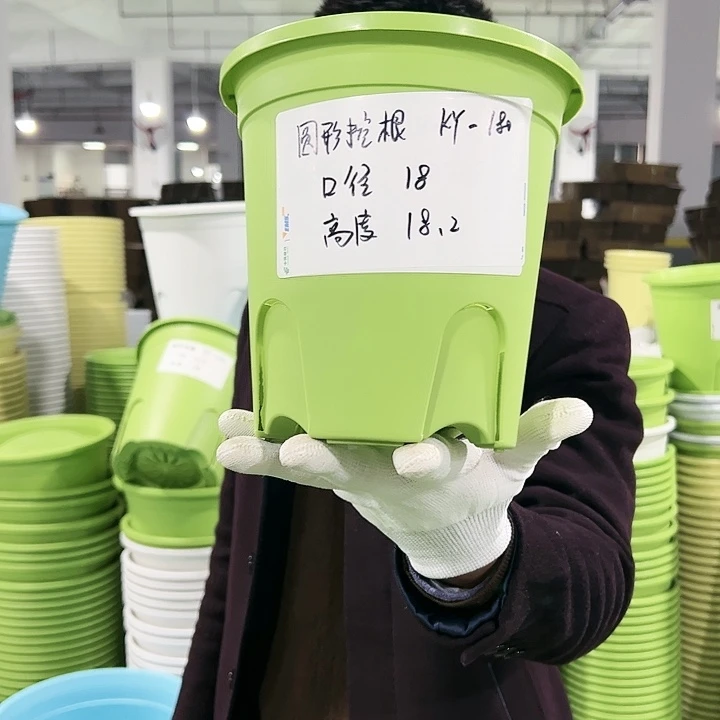 正品圆控口18高18果绿8只无托