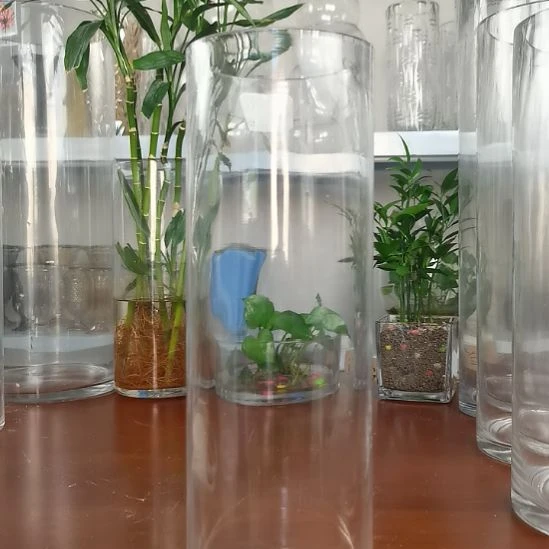 玻璃昌达玻璃直筒高度30口径10