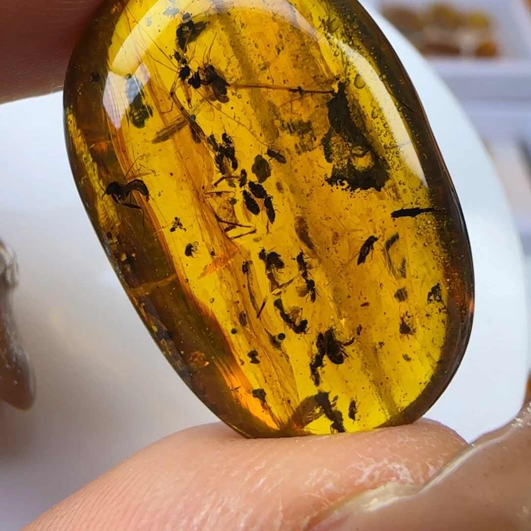 琥珀裸石未镶嵌虫窝