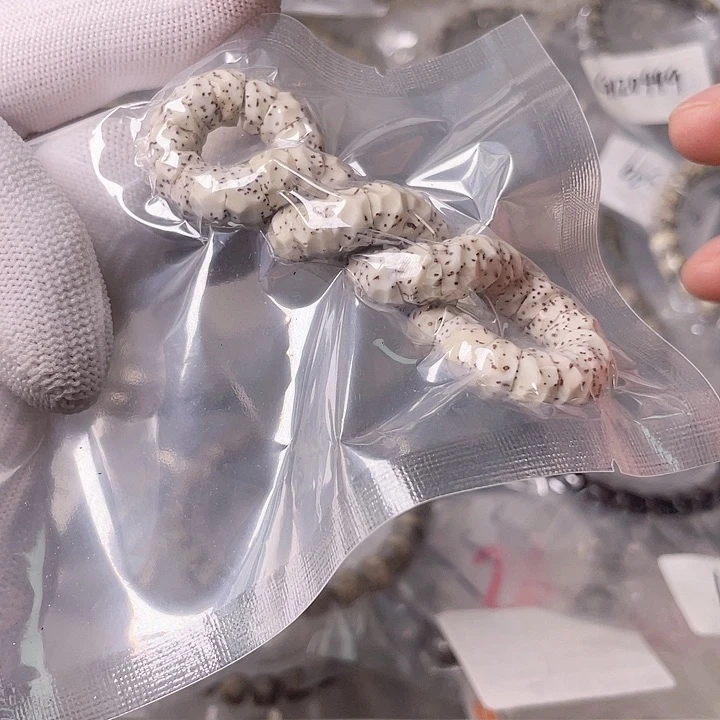 星月菩提手串Q005 星月哈哈哈9