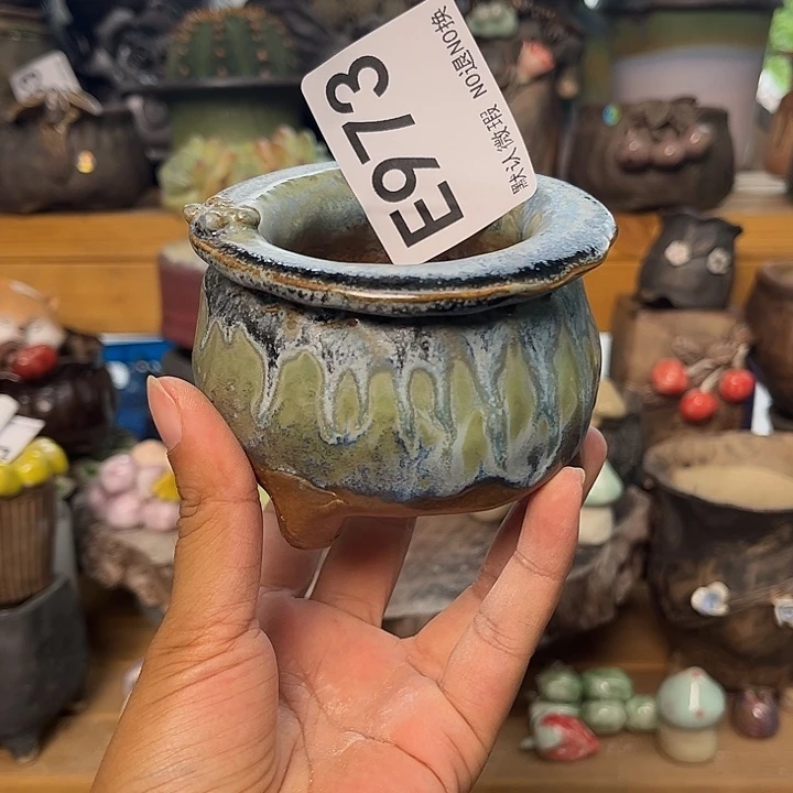 你说啥时候你的人怎么973