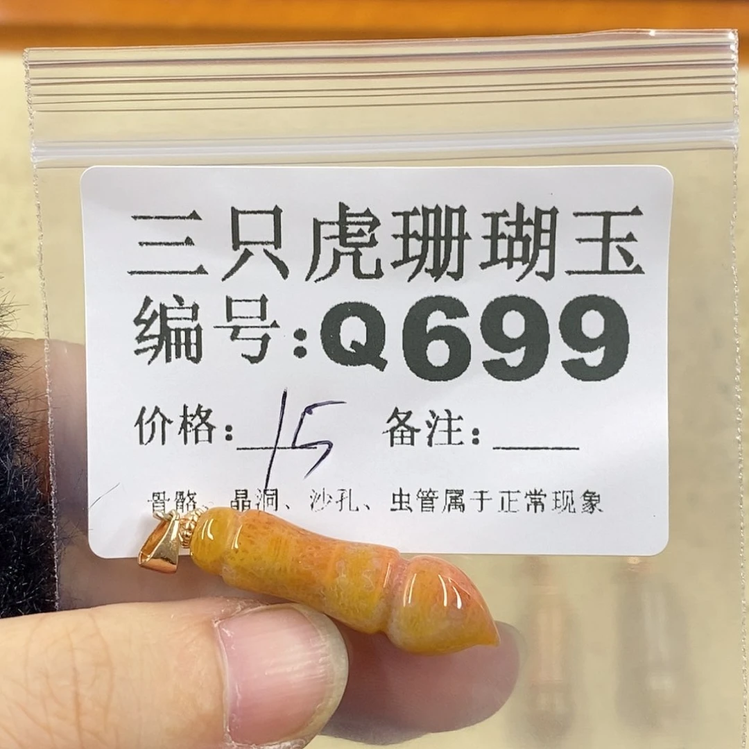硅化珊瑚（珊瑚玉）1未镶嵌豆***王