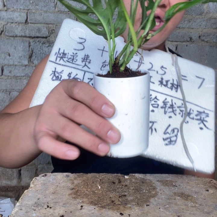 退款拉黑一物一拍43
