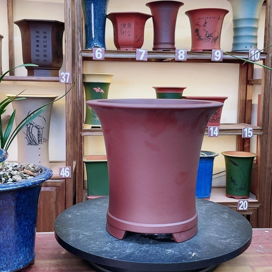 【闪购商品】紫砂花盆兰花45695556555555555