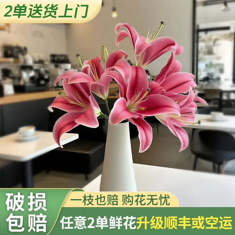 【两个老六卖花花】普拉芬多 任意2单升级快递 发货后不支持退款