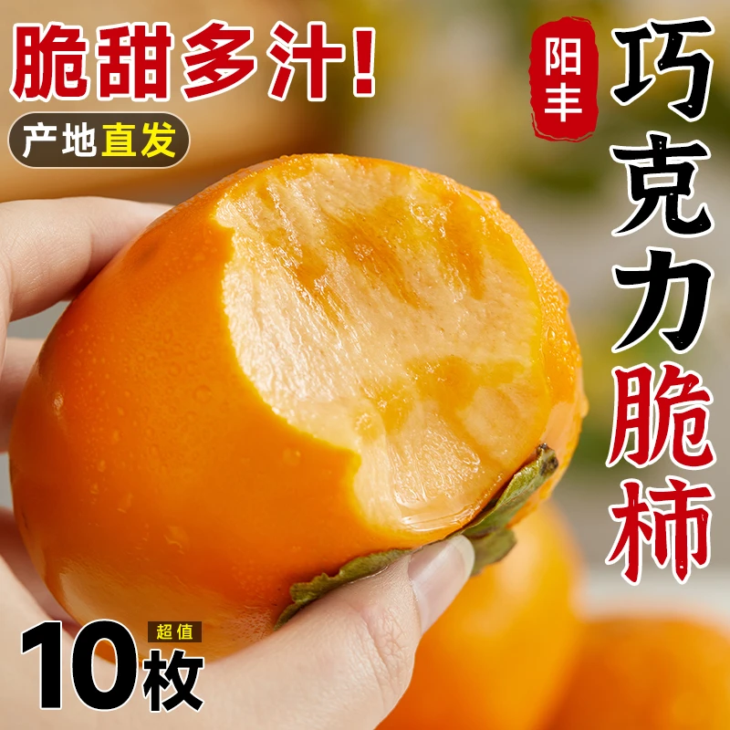 【整箱10枚】正宗巧克力冰糖脆柿子阳丰新鲜水果应季脆甜硬红火晶