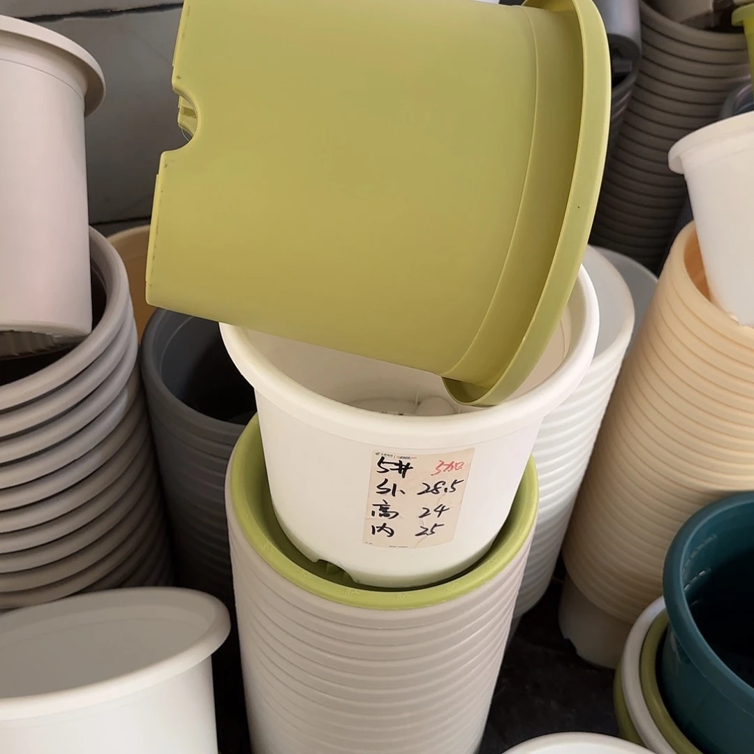 微瑕5号6个无托，果绿