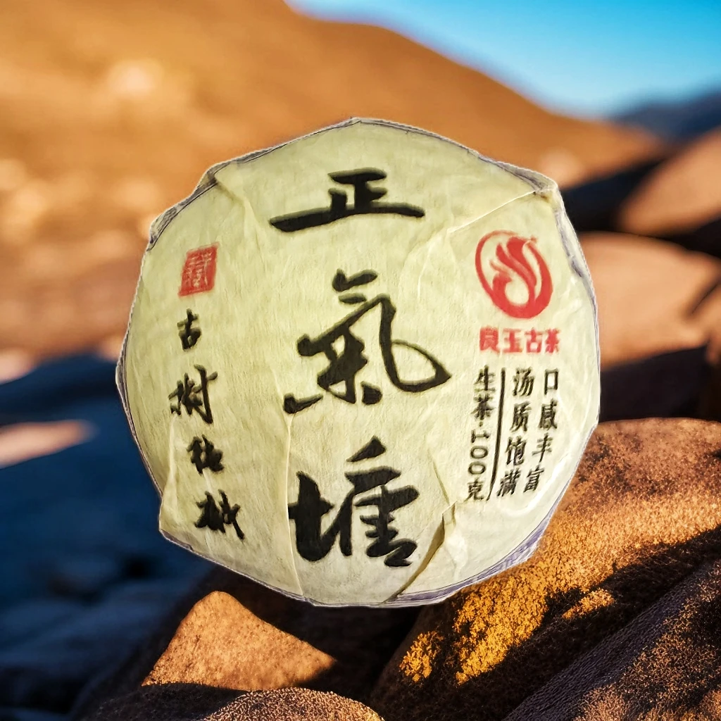 正气塘古树纯料生沱云南普洱生茶100g