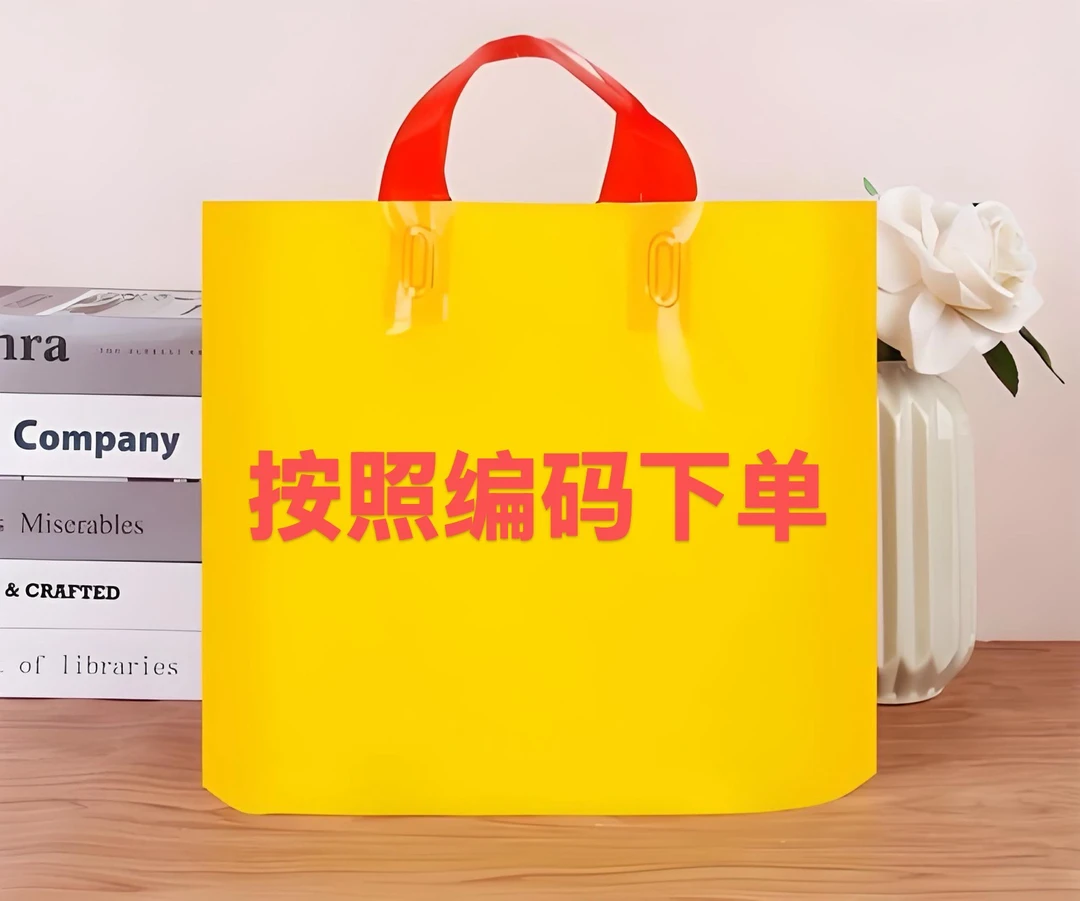 【一 一九】林姐家包包单肩包（按照直播间编码下单）