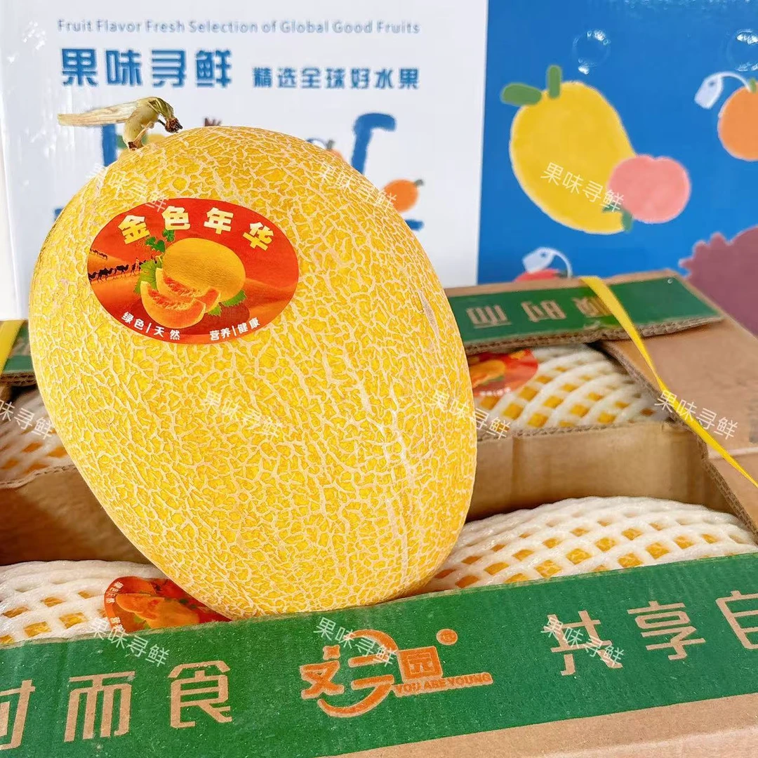 【金色年华】新疆  黄金蜜瓜  2颗分装/4颗原箱  脆甜哈密瓜