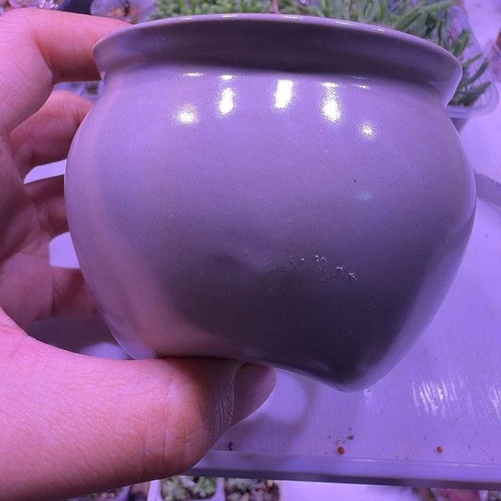 盆23，质感好的胡巴盆，多肉盆闲置处理福利出！
